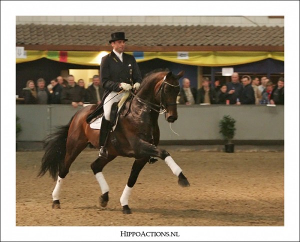 Lord Loxley succesvol in Prix St-Georges
